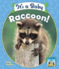 It_s_a_baby_raccoon_