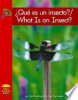 What_is_an_insect