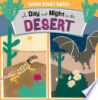 A_day_and_night_in_the_desert