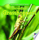 Incredible_grasshoppers