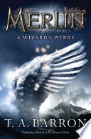 A_wizard_s_wings