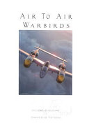 Air_to_air_warbirds