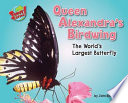 Queen_Alexandra_s_birdwing