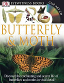 Butterfly___moth