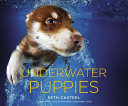 Underwater_puppies