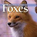Exploring_the_world_of_foxes