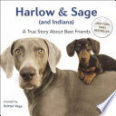 Harlow___Sage__and_Indiana_