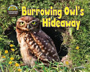 Burrowing_owl_s_hideaway