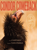 Condor_Comeback