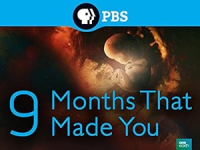9_months_that_made_you