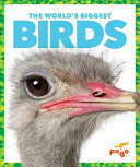 The_World_s_biggest_birds