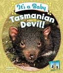 It_s_a_baby_Tasmanian_devil_