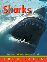 1000_Facts_Sharks