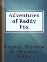 The_Adventures_of_Reddy_Fox