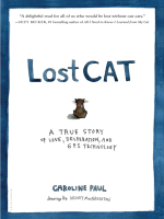 Lost_Cat