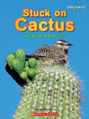 Stuck_on_cactus